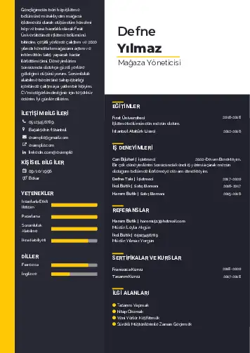 Yönetici CV Örnekleri cv indir